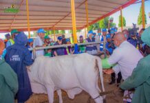 World Bank Commends Gov Inuwa for Breakthroughs in Livestock Innovation, Modernisation